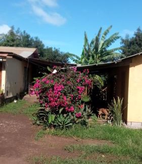 Hanga Roa Apartment | kauaraki Céntrica e independiente
