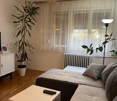 Gornji Milanovac Apartment | Keližual