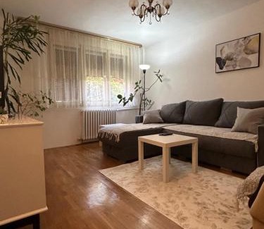 Gornji Milanovac Apartment | Keližual