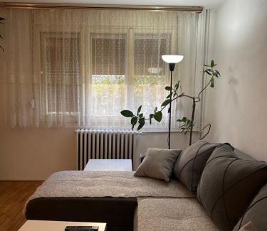 Gornji Milanovac Apartment | Keližual