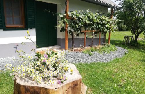 Nagysaroslak House | Kellerstöckl am Sauerberg 20