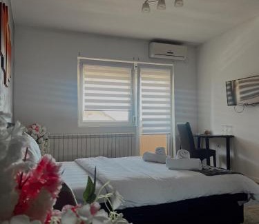 Zemun Resort | Kengur Resort
