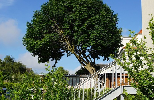 Sassnitz Apartment | Kieler Bach on the first floor - Villa Rosalie Sassnitz