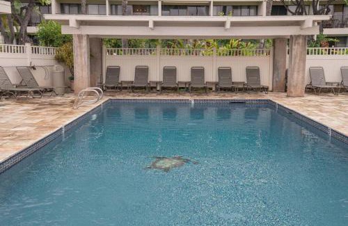 Kihei Apartment | Kihei Akahi C320- Kihei Studio, walk to shops, dining, & the beach