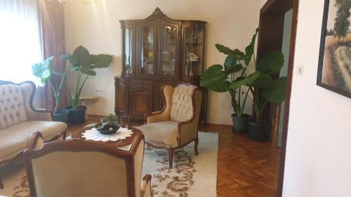 Kikinda Apartment | Kikinda peace oaza