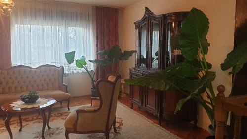 Kikinda Apartment | Kikinda peace oaza