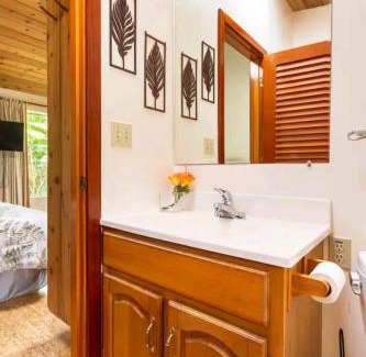 Volcano Apartment | Kilauea iki- Hale Kumu La'au