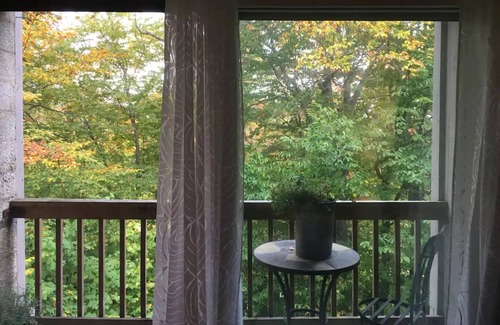 Central Vermont- Killington Condo | Killington Modern Condo Whiffletree B5 - 2BD/1BA