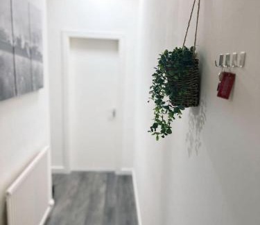 Falkirk Apartment | King Apartment
