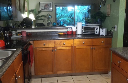 Gainesville Condo | King bed, pool, creek! Private artsy 1/1 condo in forest, 1.6 mi. north of UF!