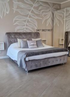 Livorno Apartment | KISSES FROM LIVORNO open space apartment - no pets allowed