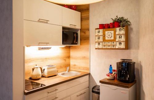 Loucna Pod Klinovcem Apartment | Klínovec ski apartments