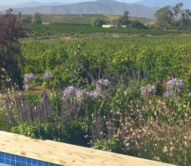 Langeberg House | Klaasvoogds Cottages