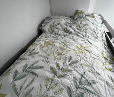 Wiesbaden Apartment | Kleine Wohnung Erdgeschoss Wiesbaden Stadtmitte