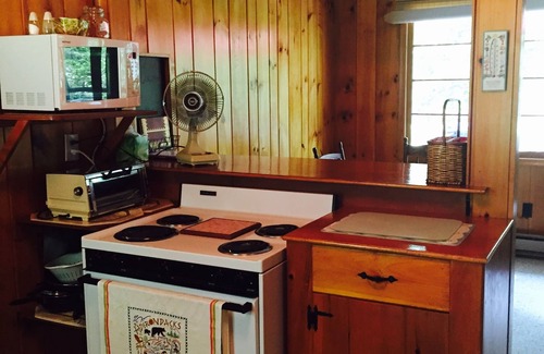 Northville House | Knotty Pine Cottage w/lake access