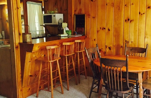 Northville House | Knotty Pine Cottage w/lake access