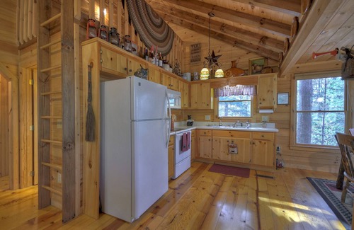 Hidden Lake Cabin | Knotty Pines - Pet-friendly, fireplace, & firepit!