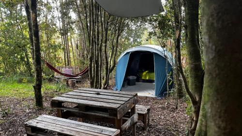 Valdivia Other | Ko Glamping