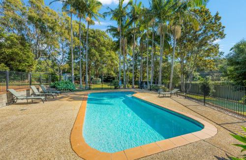 Port Macquarie House | Koalas at Links Lighthouse Beach