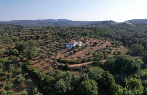 Aipeia House | Kochýli