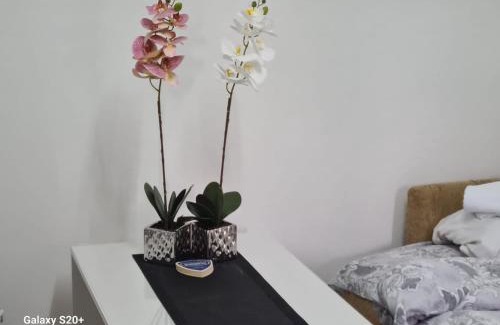 Zlatibor Apartment | Kod nane Cane