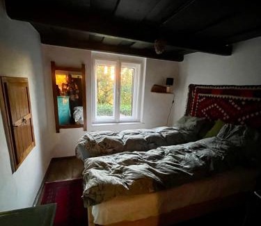 Raposka House | Kofal Pince 1