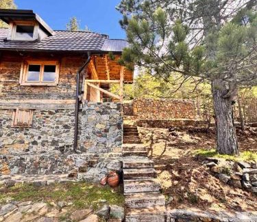 Zlatibor Ski Chalet | Koliba Dobro drvo