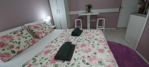 Vrnjacka Banja Apartment | KOSA APARTMAN