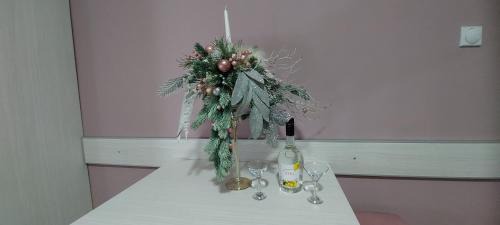 Vrnjacka Banja Apartment | KOSA APARTMAN