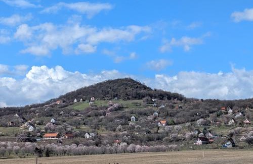 Monoszlo Apartment | Kosbor Vendégház