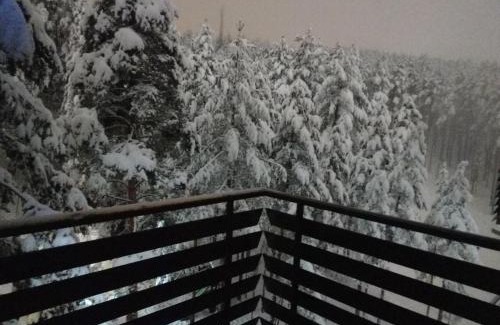 Zlatibor Apartment | KRALJ LUX in Balkan Hill Two