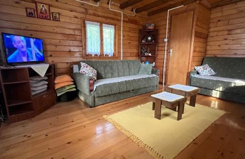 Mionica House | Kraljeva breza