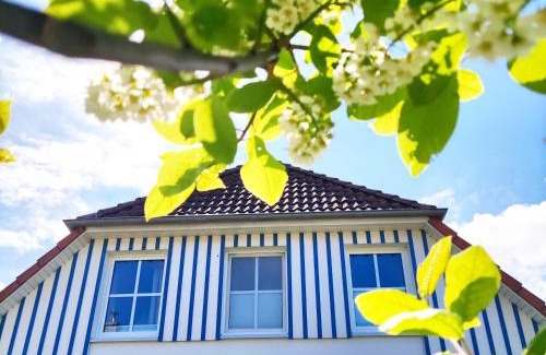 Zingst Apartment | Kranichwiese FW 1