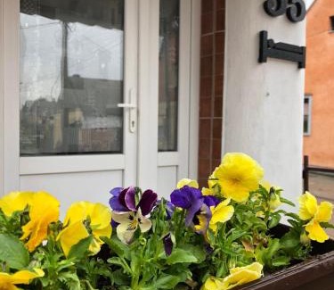 Subotica Apartment | KRIN apartman
