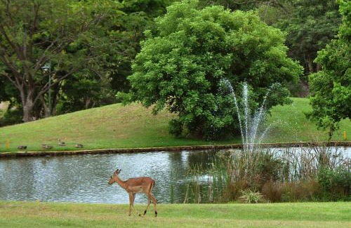 Hazyview Apartment | Kruger Park Lodge Unit No. 612