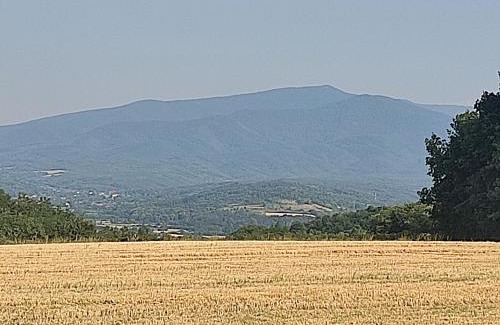 Central Serbia House | Kuća Pored Sunca