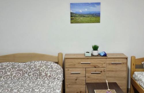 Kraljevo Apartment | KUĆA VASILJEVIĆA 064/16 88 141