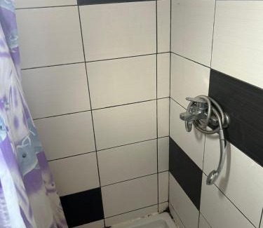Veternik Apartment | Kuća za EXIT 2024