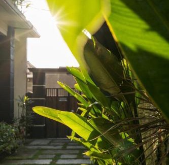 Sanur Kauh Apartment | Kubu Lestari Homestay