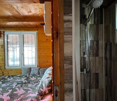 Ostruznica House | Kuca i splav na reci Savi