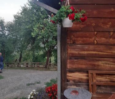 Mokra Gora House | Kuca za odmor Kalina