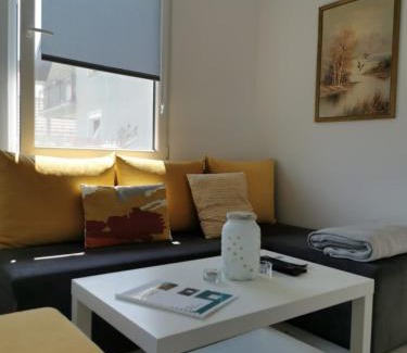Vrdnik Apartment | Kucerak111