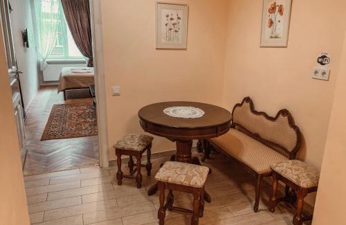 Lviv City Center Apartment | Kurnakh Apartment