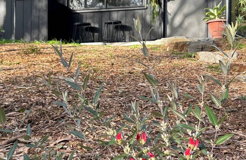 Crafers West House | KW Treehouse: Adelaide Hills Escape