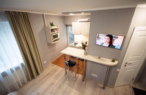 Pechers'kyi District Apartment | Kyiv Lesi 3 Studio Apartment