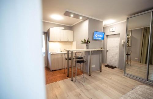 Pechers'kyi District Apartment | Kyiv Lesi 3 Studio Apartment