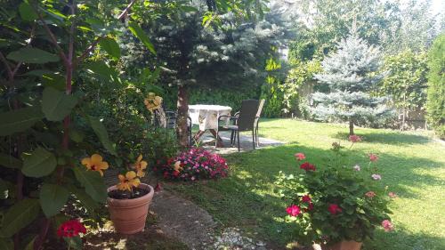 Heviz Apartment | Lázár Apartmanok