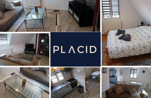 Obernai Apartment | L échappée Belle Elégant Central