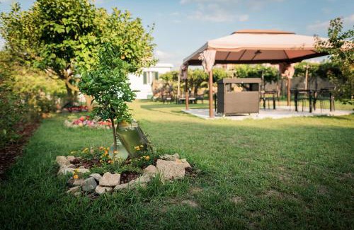 Procida Bed & Breakfast | L'Agrumeto