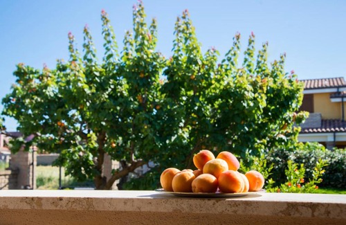 Cerreto Bed & Breakfast | L'Albicocco